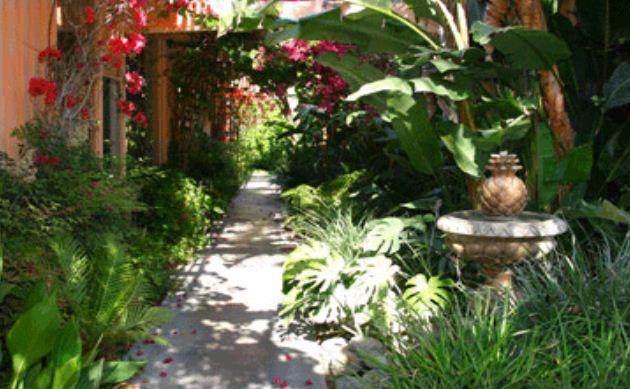 Triangle Inn Clothing Optional Resort For Men Palm Springs Eksteriør bilde